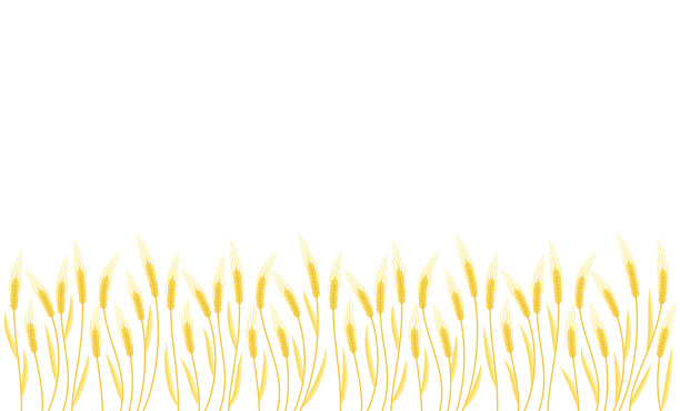 小穗麦田的乡村景观图片下载