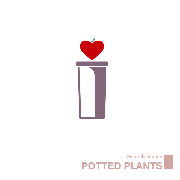 盆栽植物的想法。图片下载