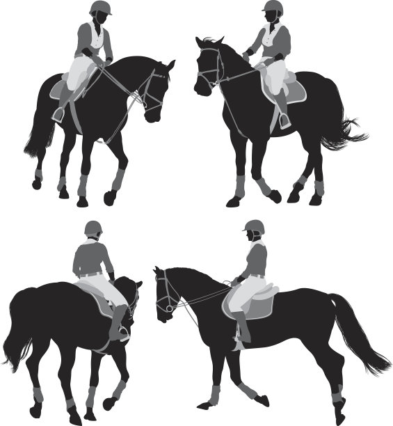 马马术图片下载
