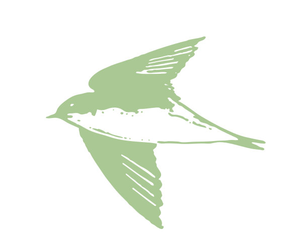 飞翔的树燕图片下载