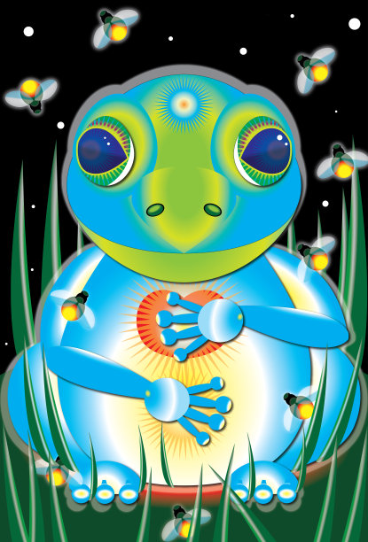 卡通青蛙做瑜伽冥想图片下载