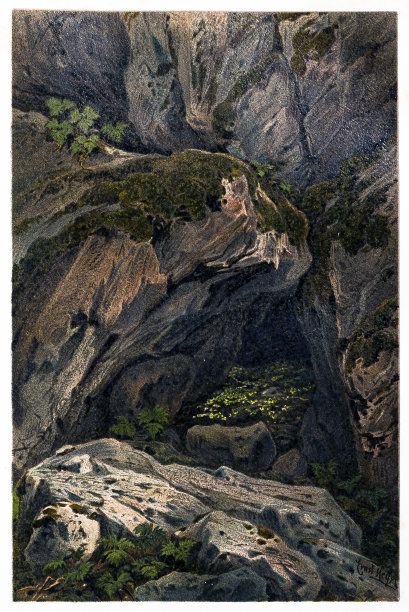 石板岩峭壁上的苔藓图片下载