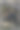 石板岩峭壁上的苔藓图片下载