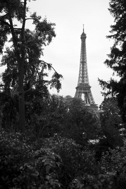 巴黎埃菲尔铁塔的黑白照片。图片下载