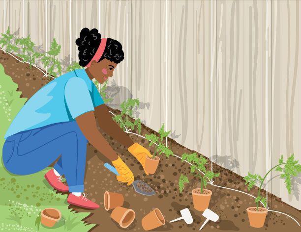 一个女人在她的花园里种菜图片下载