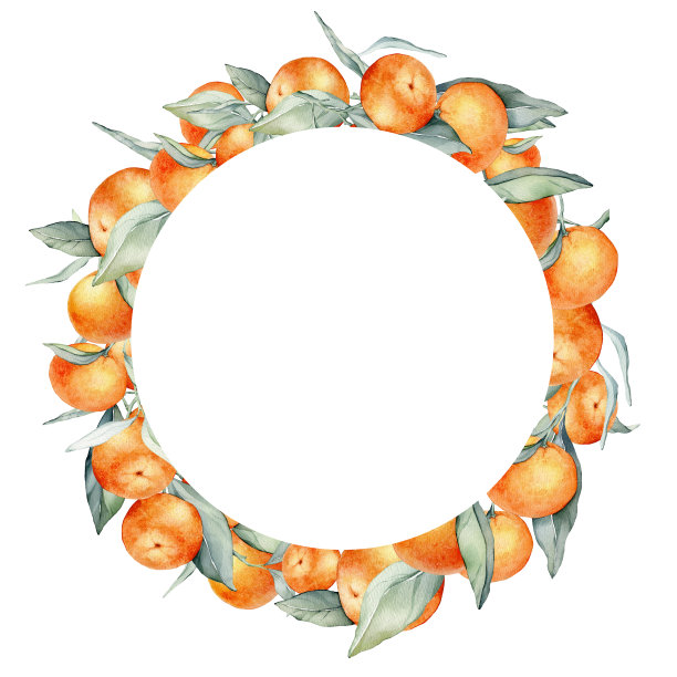 橙色水果花环。手绘水彩插图圆形框架与柑橘类食物和绿叶在白色孤立的背景。边界与热带柑橘产品图标或标志。图片下载