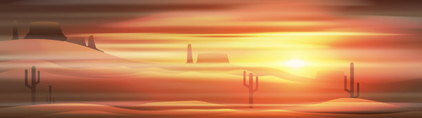 狂野的美国西部沙漠与日落山和仙人掌全景图片下载