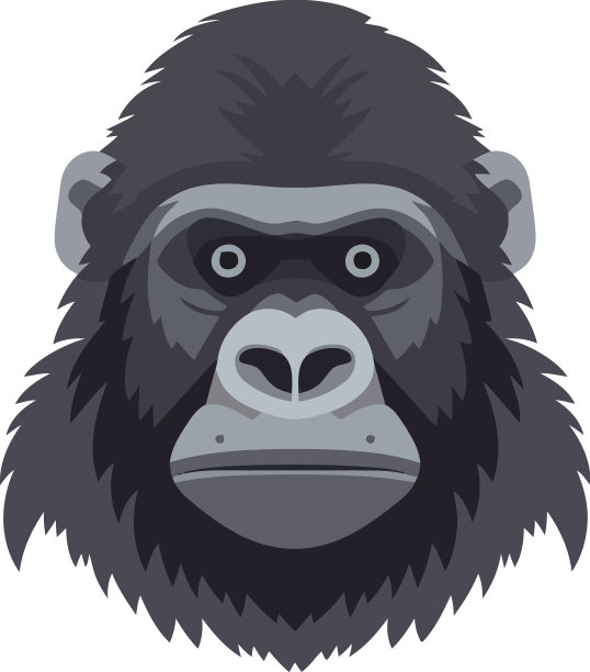 可爱的猴子是大自然力量的象征图片下载