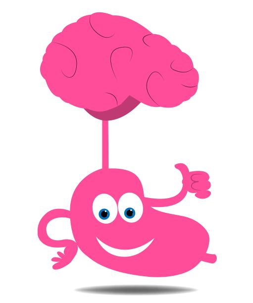 大脑与胃的连接图片下载
