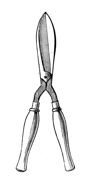 古董雕刻插图:剪刀图片下载