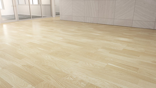 室内设计三维渲染现代办公室或公寓。图片下载