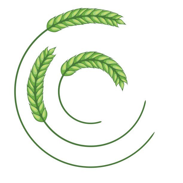 小麦设计元素-绿色图片下载