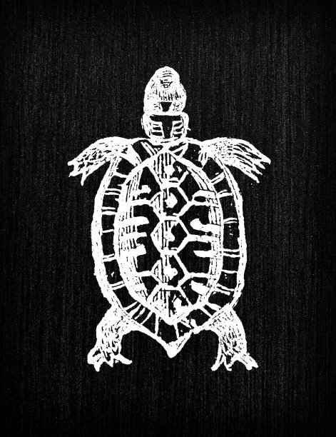 古龟插图图片下载