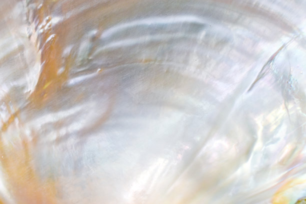 珍珠白背景图片下载