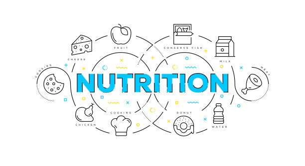 平面线说明营养概念图片下载