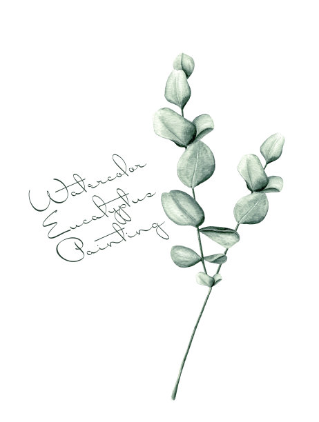 水彩桉叶图片下载