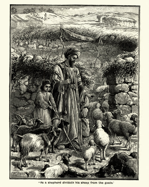 牧羊人把绵羊和山羊分开图片下载