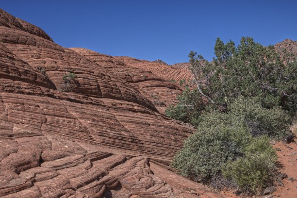 851_0863图片下载