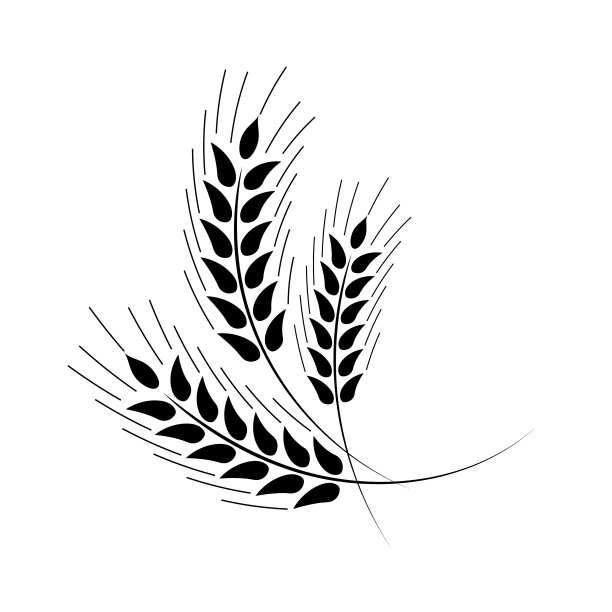 小麦设计元素图片下载