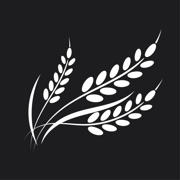 小麦设计元素图片下载
