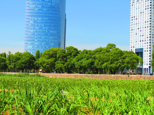 布宜诺斯艾利斯的马代罗港大楼。摩天大楼，公司大楼。图片下载