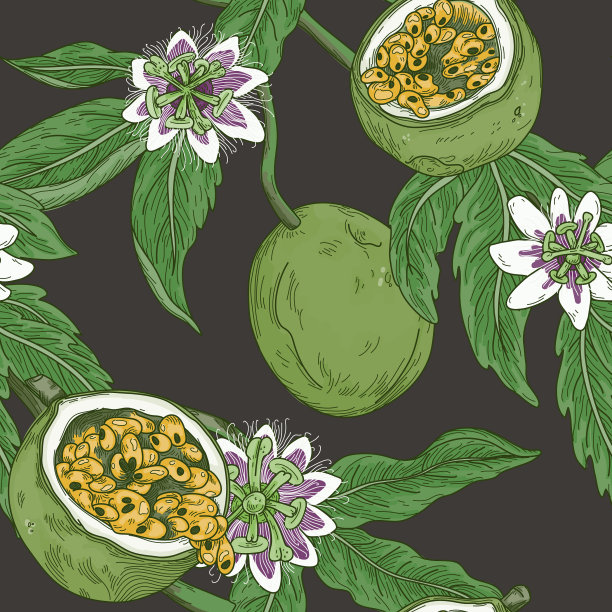 陈年百香葡萄开花无缝图案图片下载