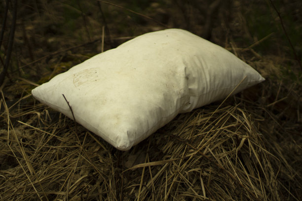 白色的枕头被遗忘在森林里。丢失的。布对象。图片下载
