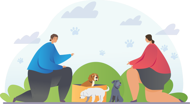 流浪狗的概念图片下载