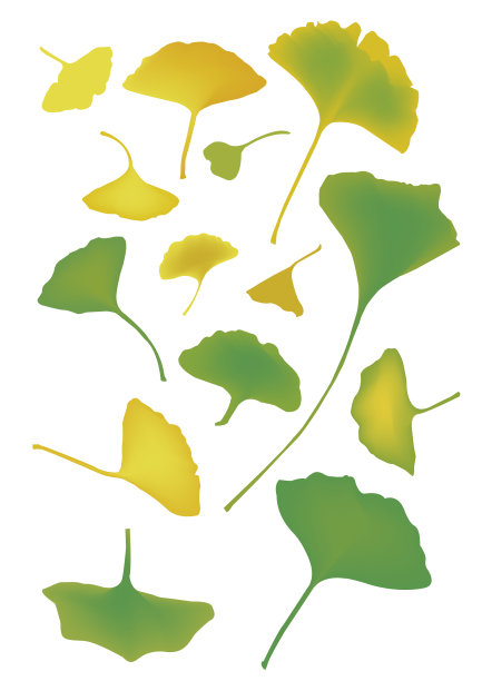 银杏叶背景图片下载