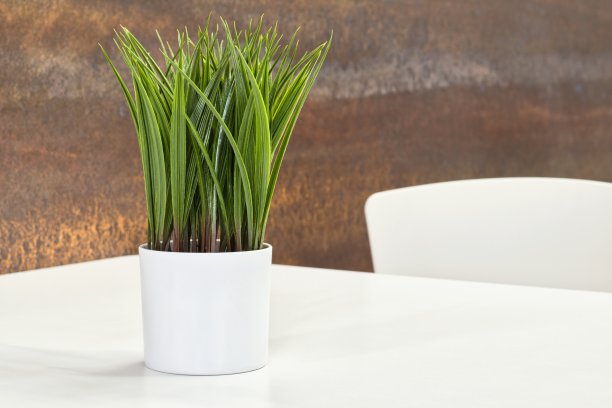 室内设计现代感十足，人工装饰的盆栽植物和白色部分餐桌。图片下载