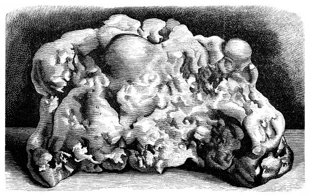 黄金的自然大小和形状图片下载