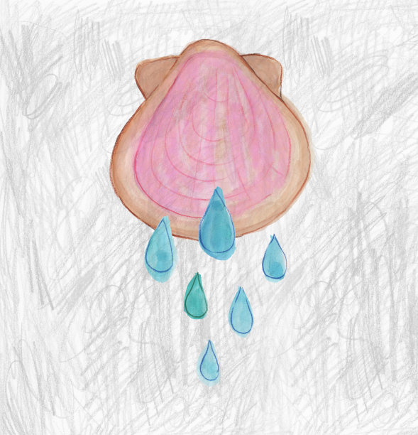 纹理背景上的混合媒体贝壳图片下载