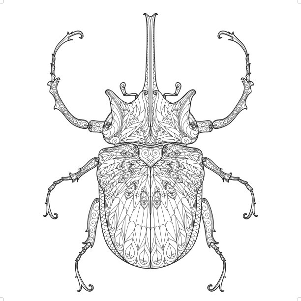 甲虫涂鸦图案图片下载