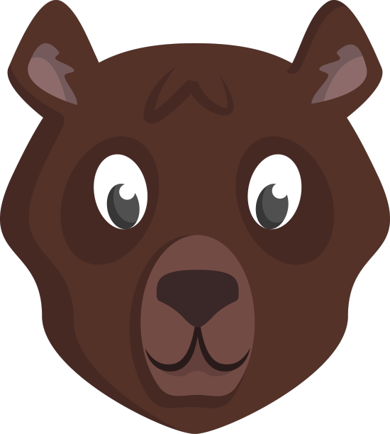 熊的正面视图图片下载