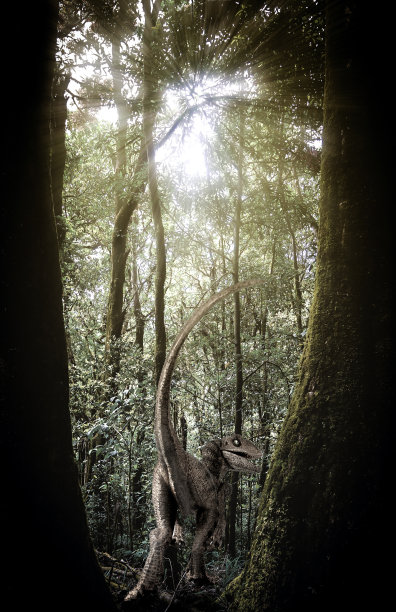 雨林中的迅猛龙图片下载