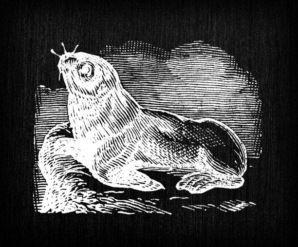 古董雕刻插图:印章图片下载