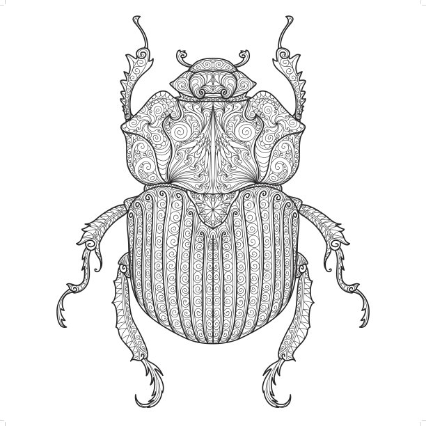 甲虫涂鸦图案3图片下载