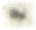雕刻古董，希腊花园和文物雕刻古董插图，出版于1851年图片下载