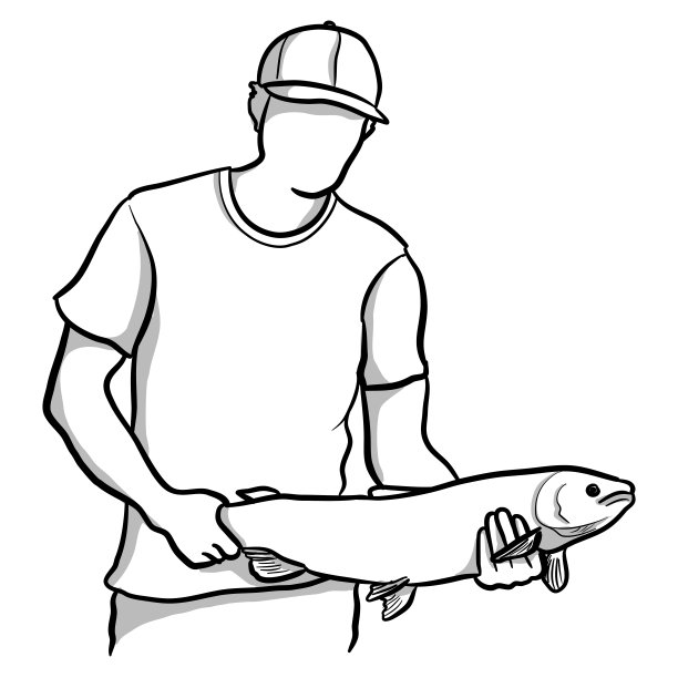 钓好鳟鱼图片下载