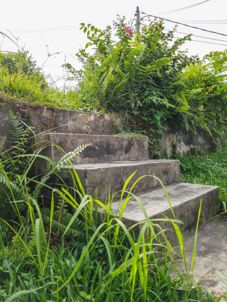 台阶周围的野草风景图片下载