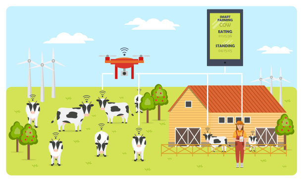 在一个现代奶牛场，女农民拿着平板电脑图片下载