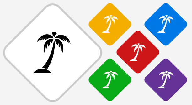 棕榈树。图片下载