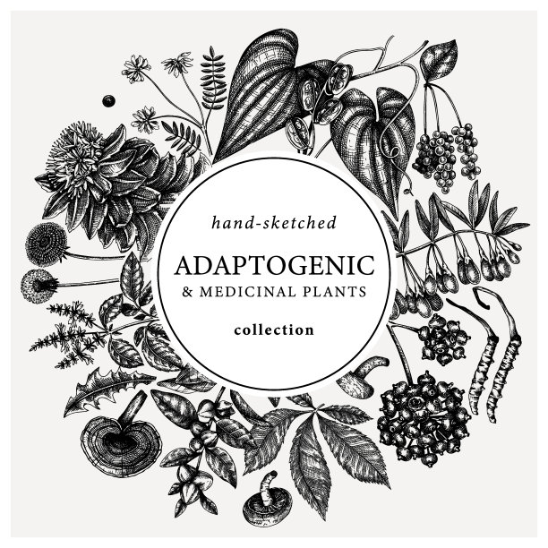 适应性植物花环设计图片下载