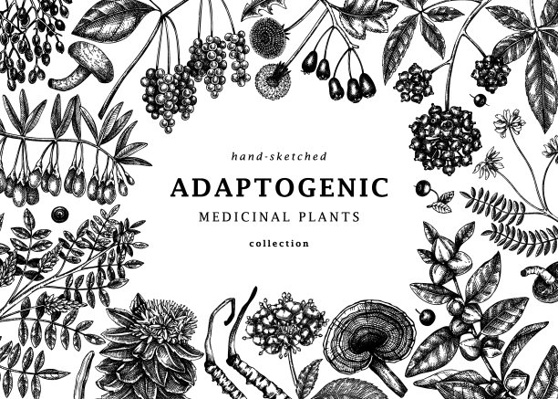 适应性植物背景设计图片下载