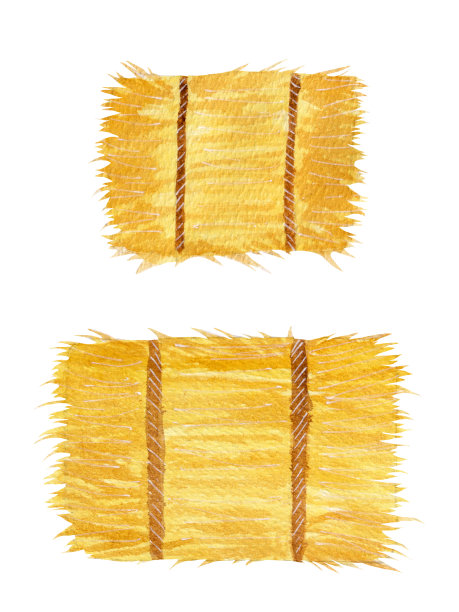 水彩画集，干草，黄色干草孤立在白色的背景。图片下载