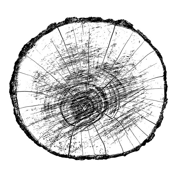 木材纹理图片下载