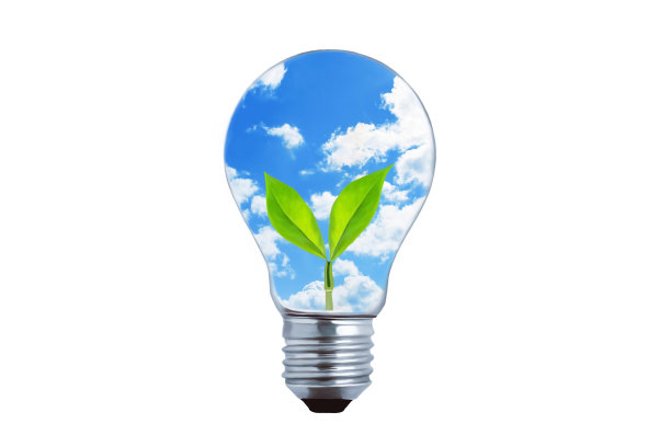 树叶和天空在灯里图片下载