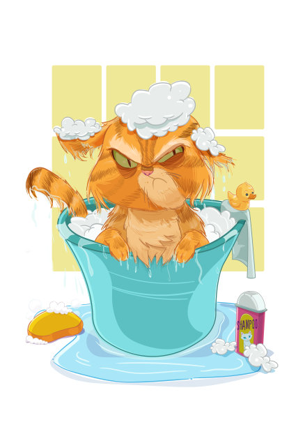 猫洗澡图片下载