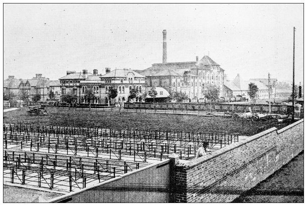 英国多塞特郡的古董照片:多切斯特啤酒厂图片下载