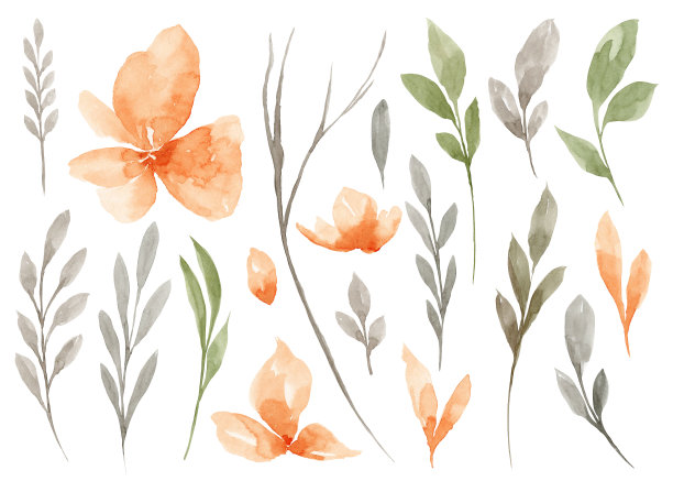一套水彩花和绿叶图片下载